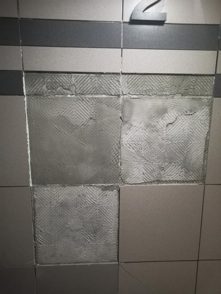 泥作/水泥施工案件圖片