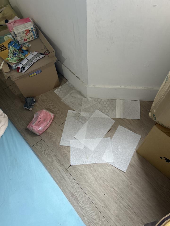 抓漏案件圖片