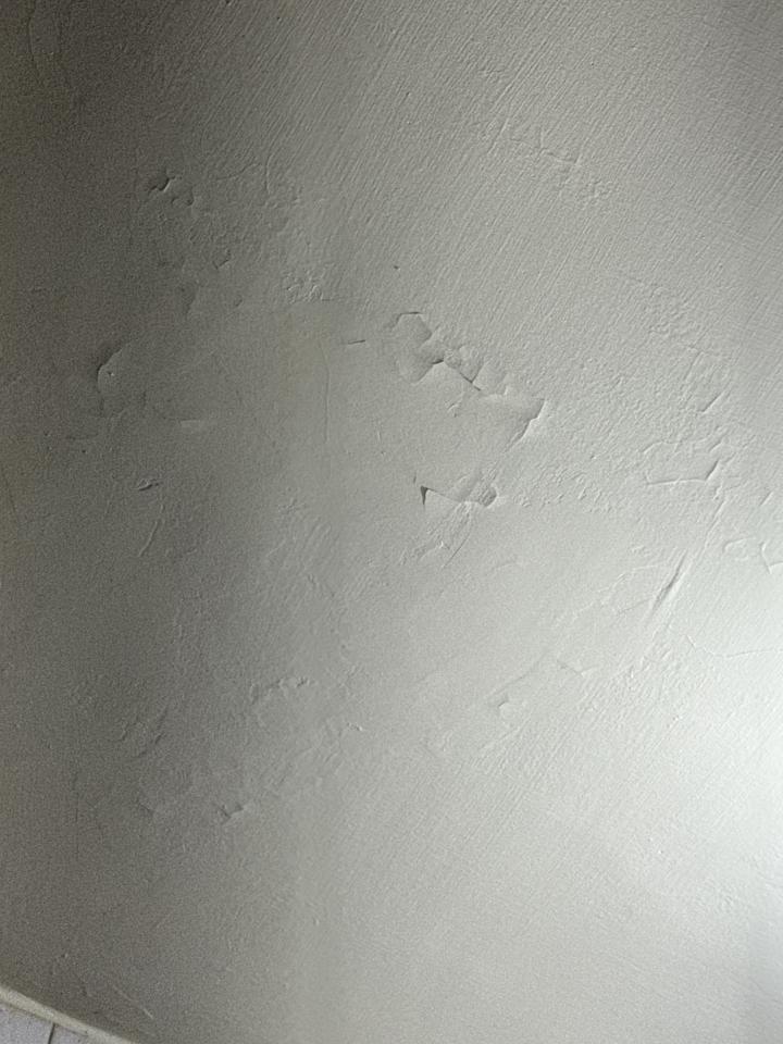 壁癌處理案件圖片