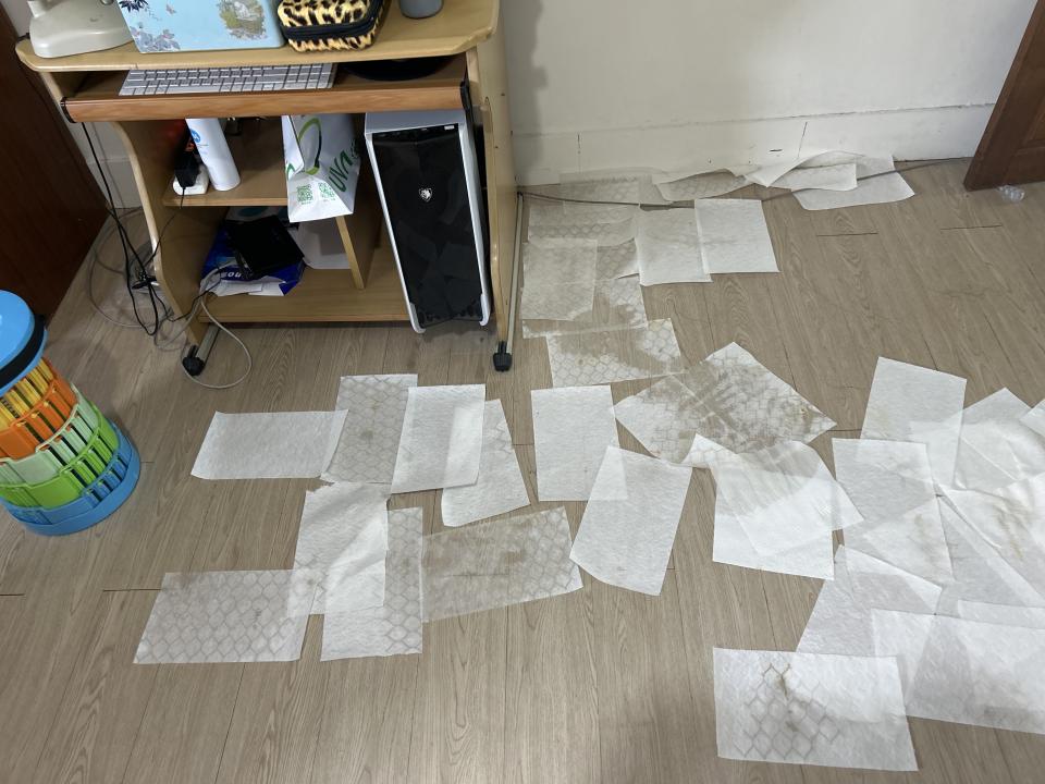 抓漏案件圖片