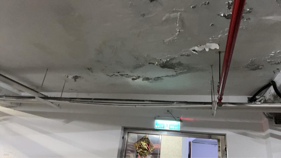 抓漏案件圖片