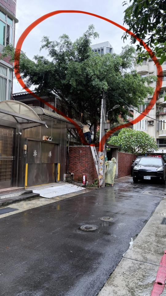園藝維護案件圖片