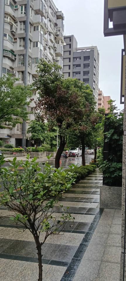 園藝維護案件圖片