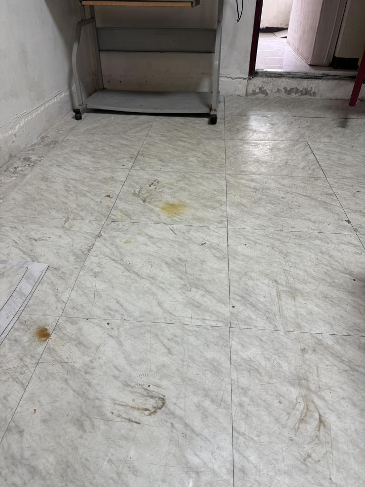 自平水泥案件圖片