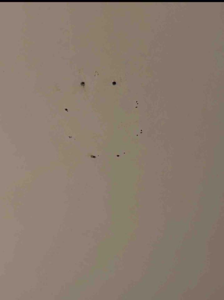 水電行案件圖片