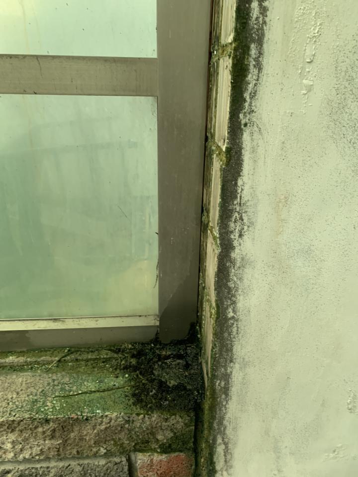 矽利康工程案件圖片