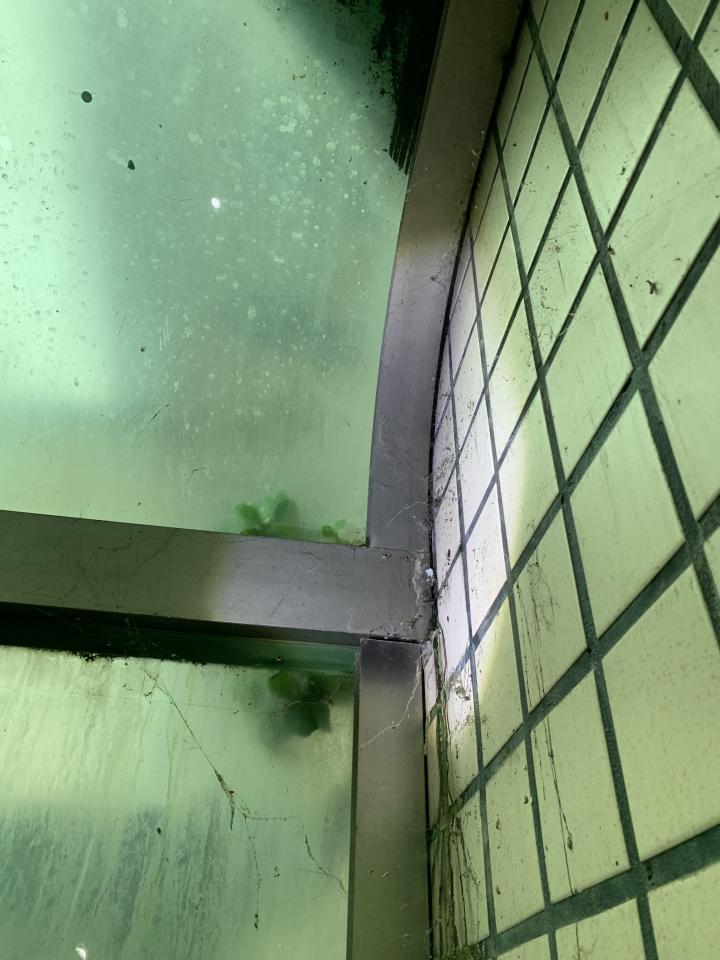 矽利康工程案件圖片