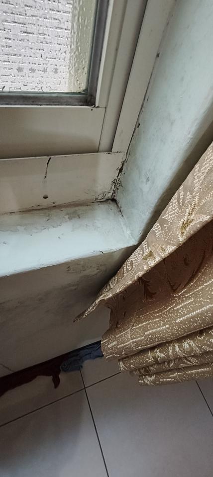 抓漏案件圖片