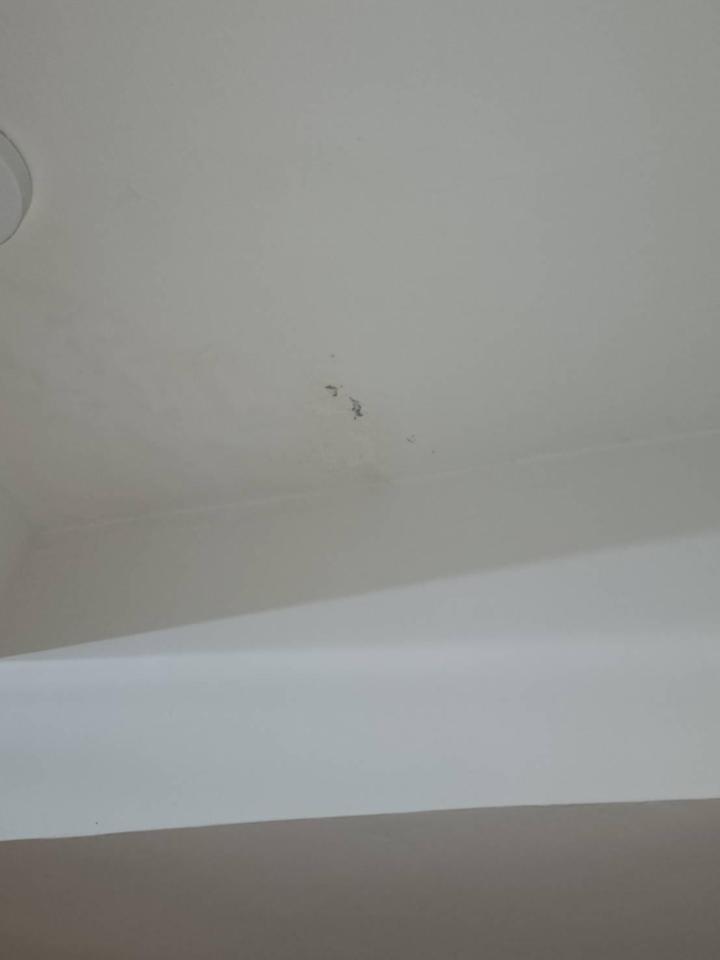 油漆工程案件圖片