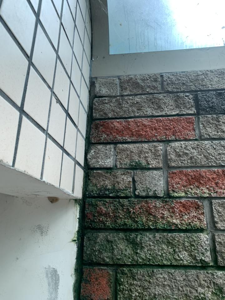 矽利康工程案件圖片