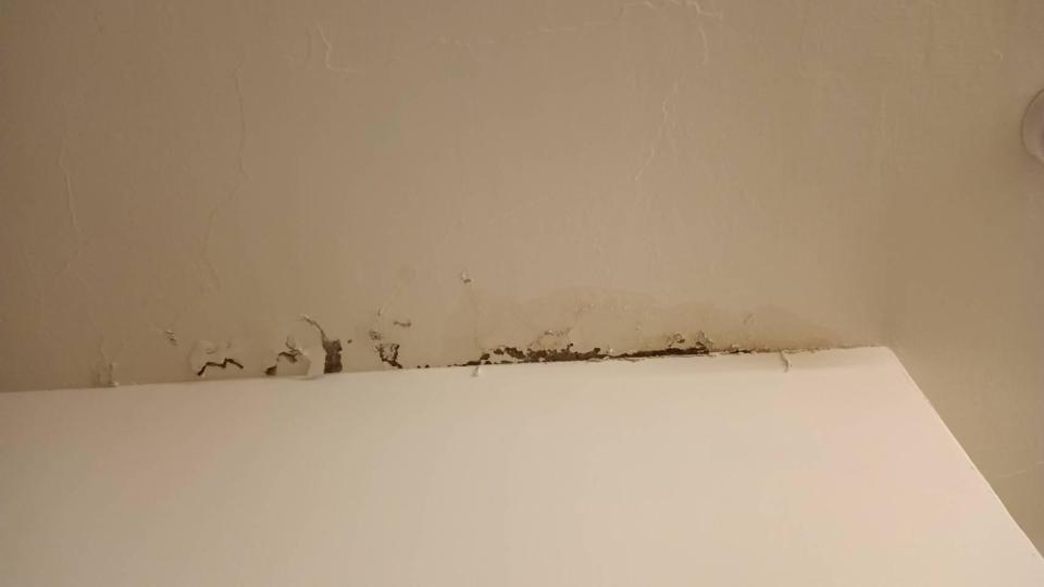 油漆工程案件圖片