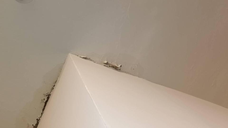 油漆工程案件圖片