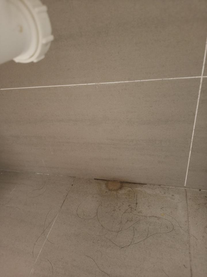 漏水處理案件圖片