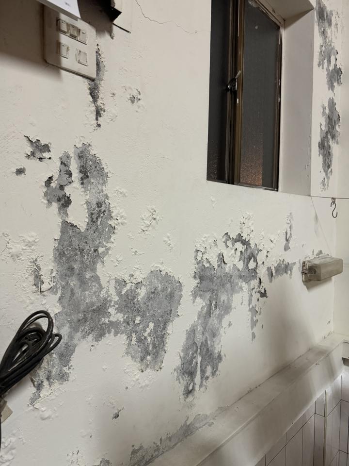 抓漏案件圖片