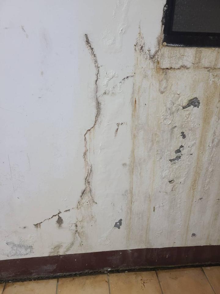 抓漏案件圖片
