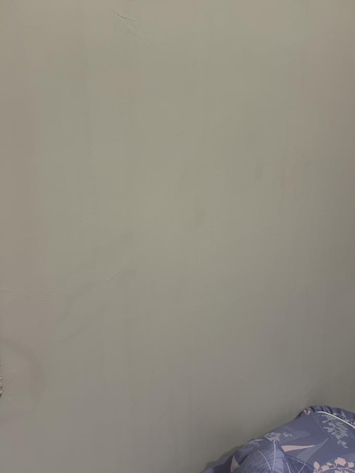抓漏案件圖片