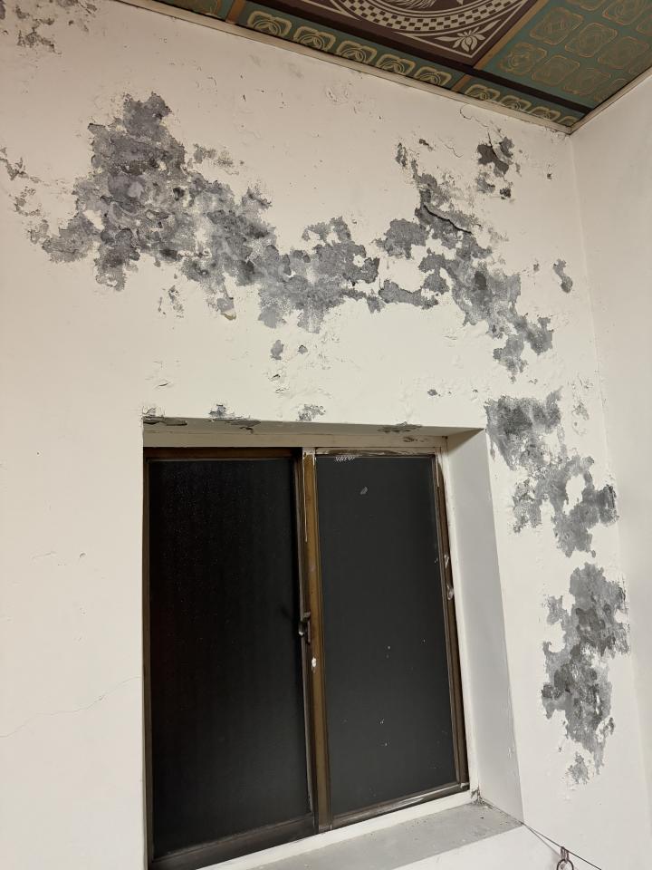抓漏案件圖片