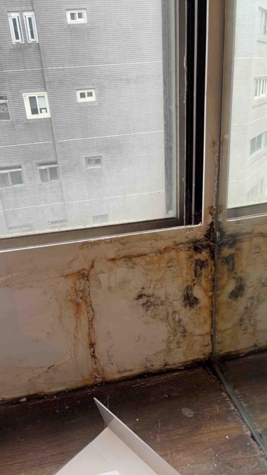漏水處理案件圖片