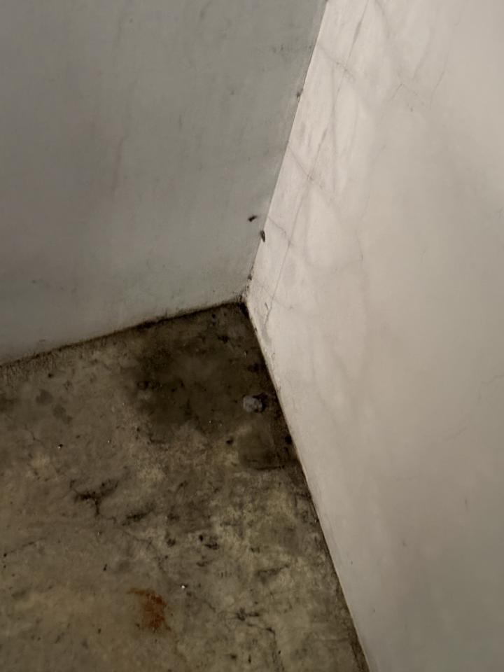 抓漏案件圖片