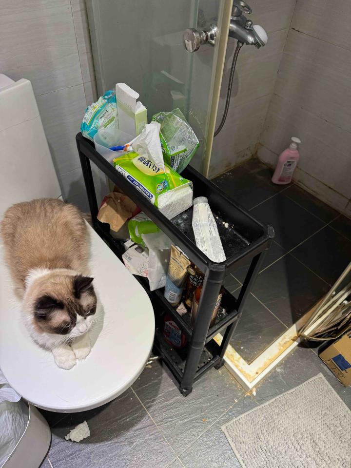 搬家清潔案件圖片