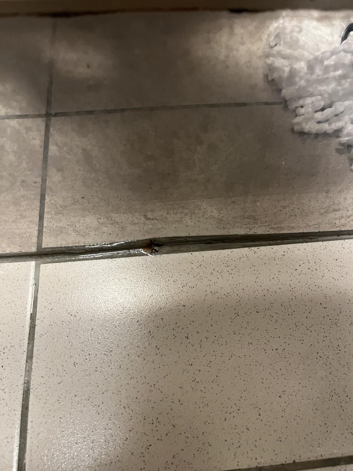 抓漏案件圖片