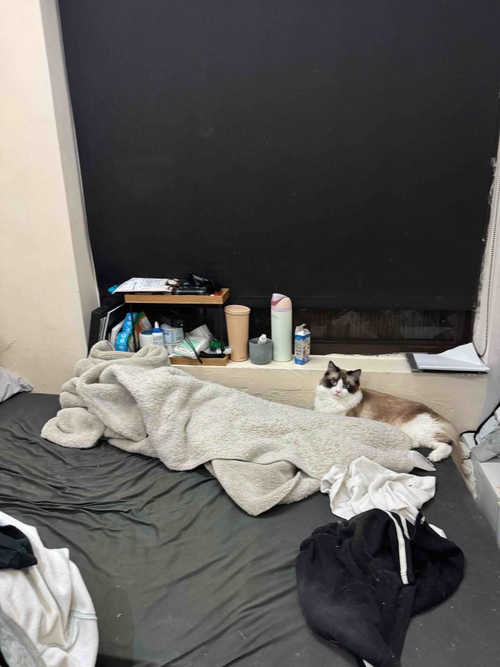 搬家清潔案件圖片