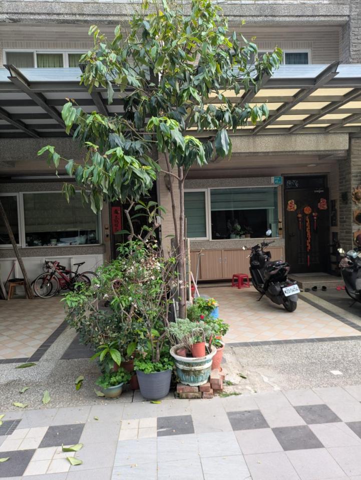 園藝設計案件圖片