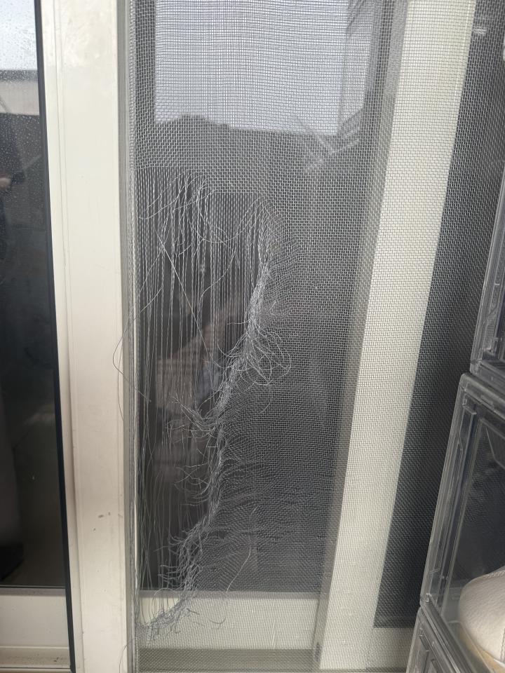 紗窗裝修案件圖片