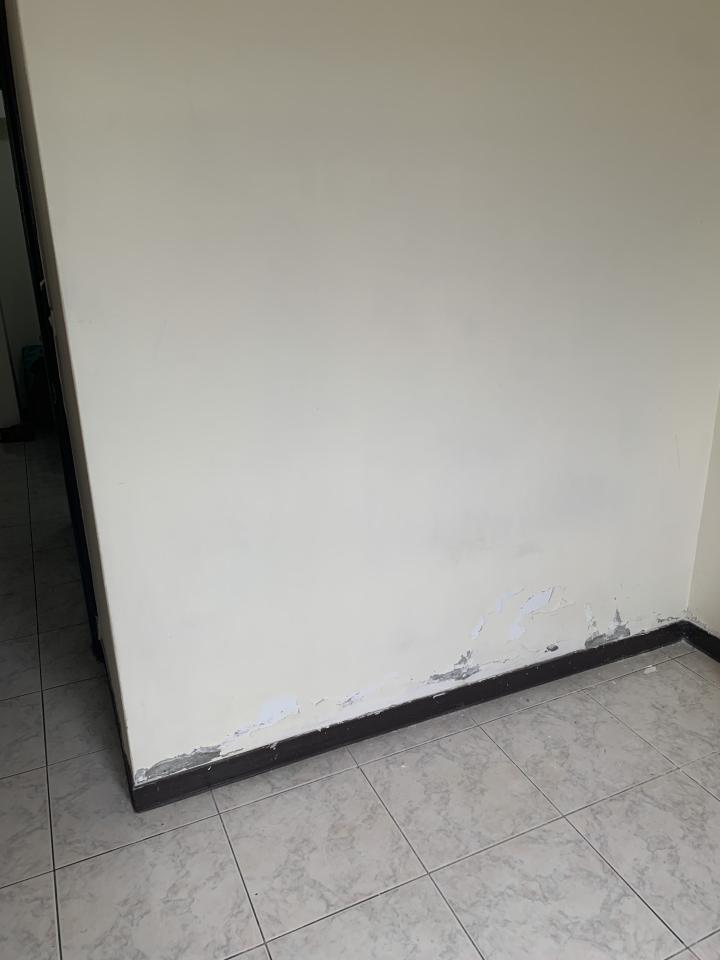 泥作/水泥施工案件圖片
