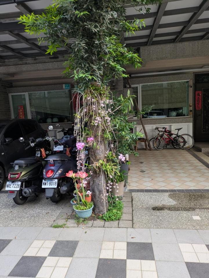 園藝設計案件圖片