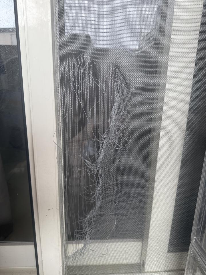 紗窗裝修案件圖片