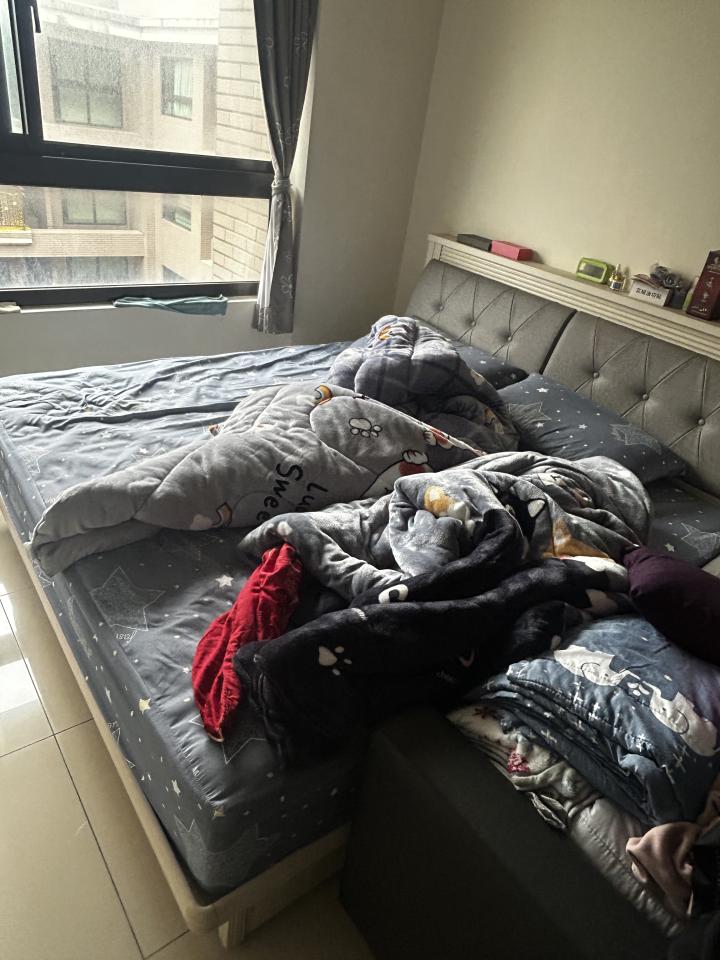 搬家案件圖片