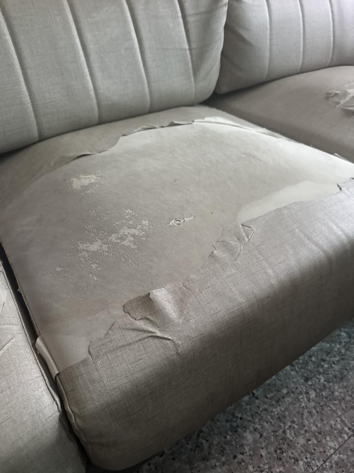 沙發修理案件圖片