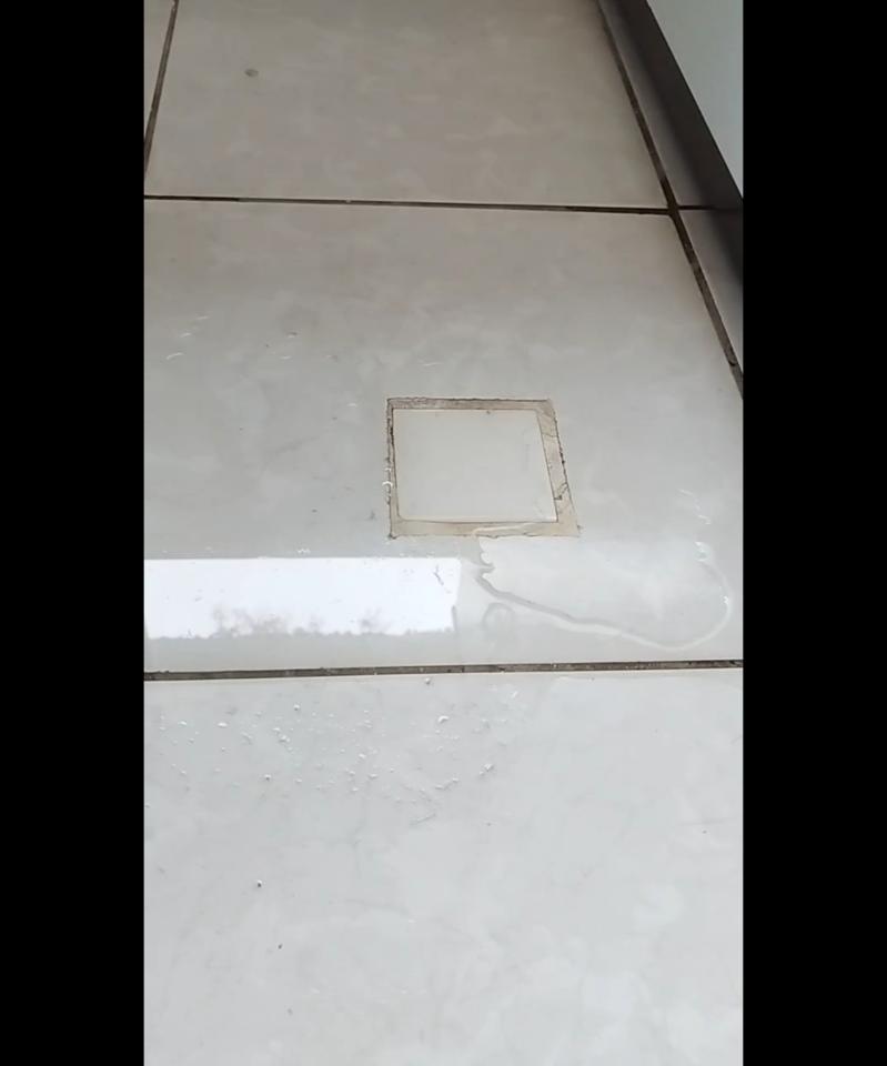 抓漏案件圖片