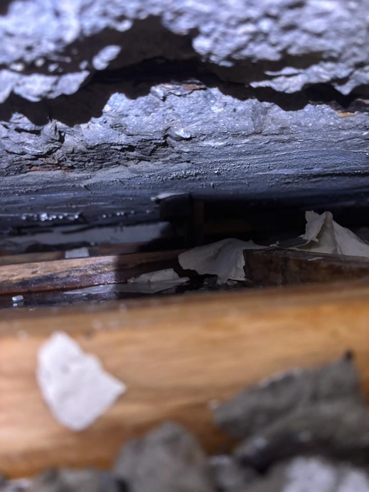 鋼筋外露處理案件圖片