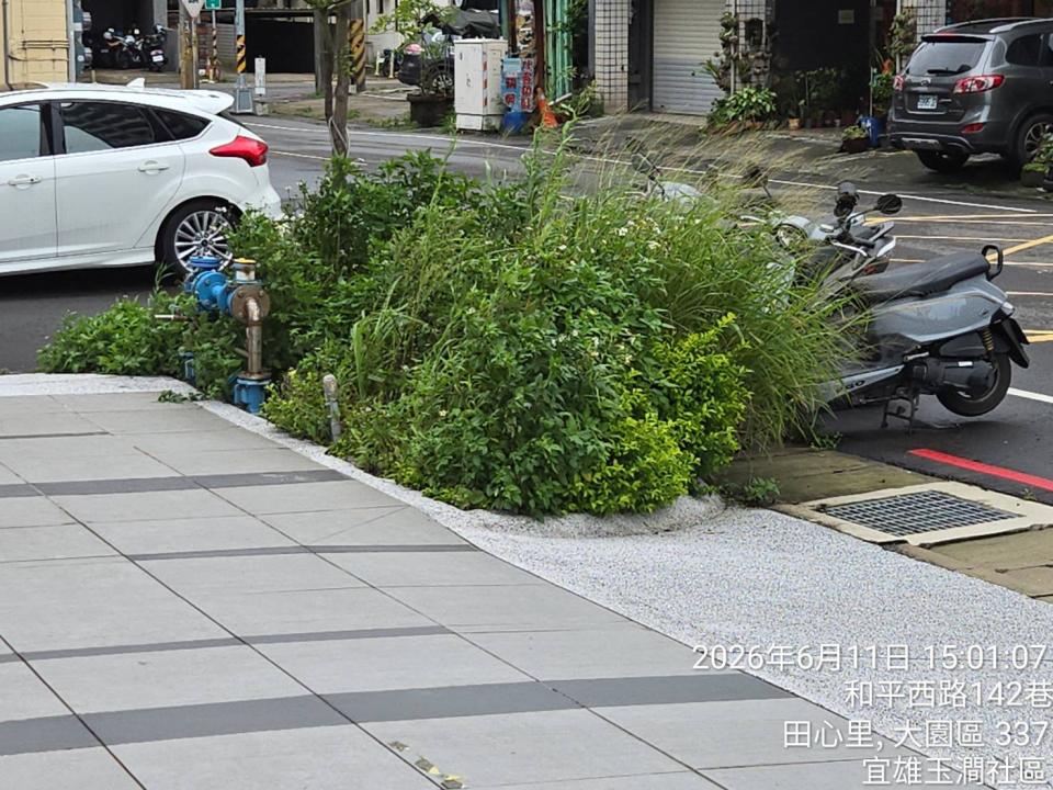 園藝維護案件圖片