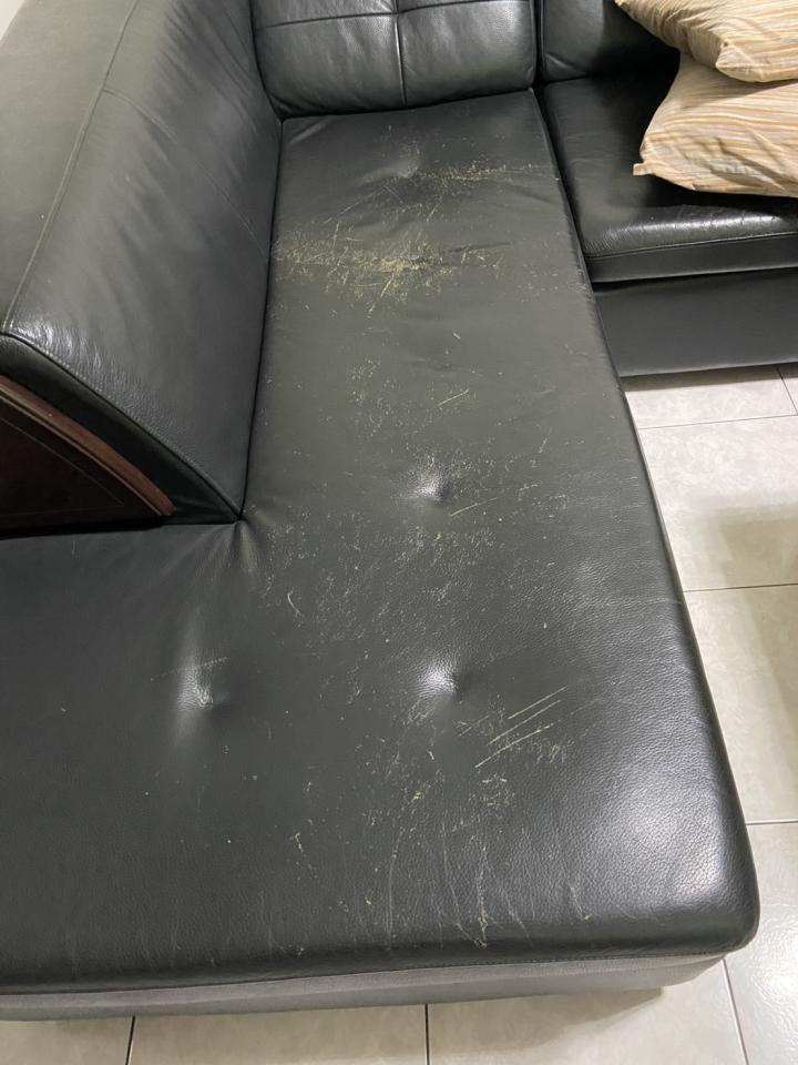 沙發修理案件圖片