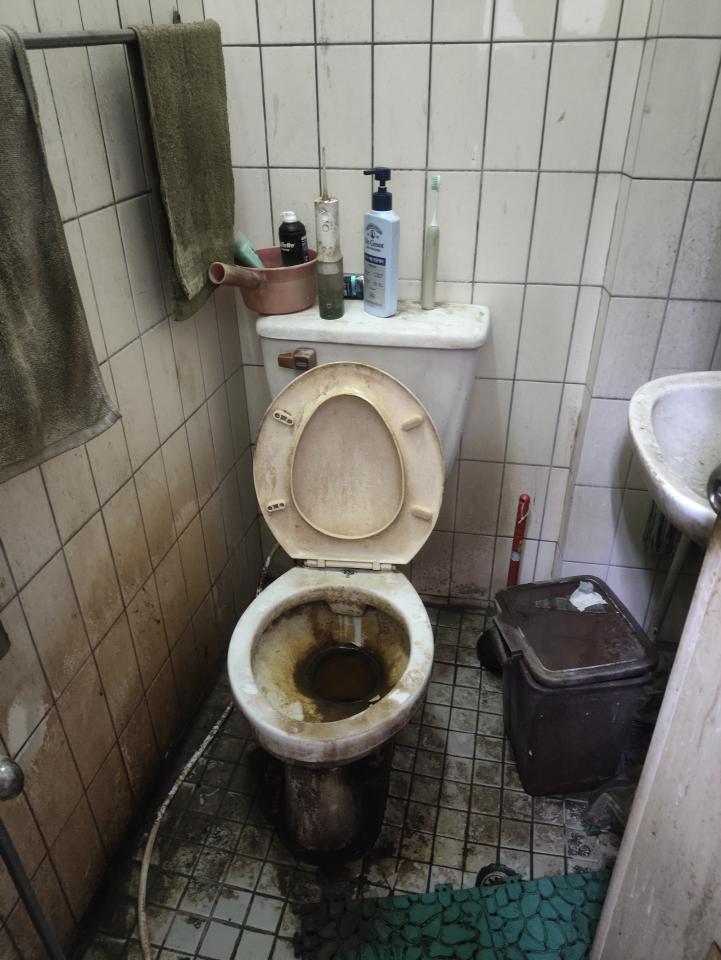 馬桶裝修案件圖片