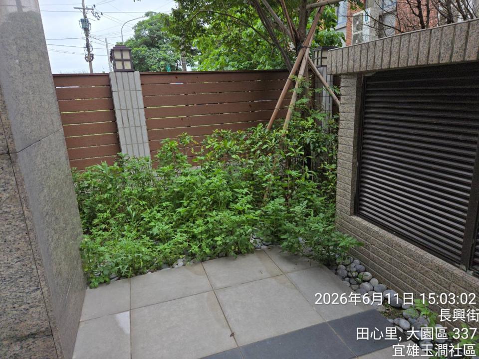 園藝維護案件圖片