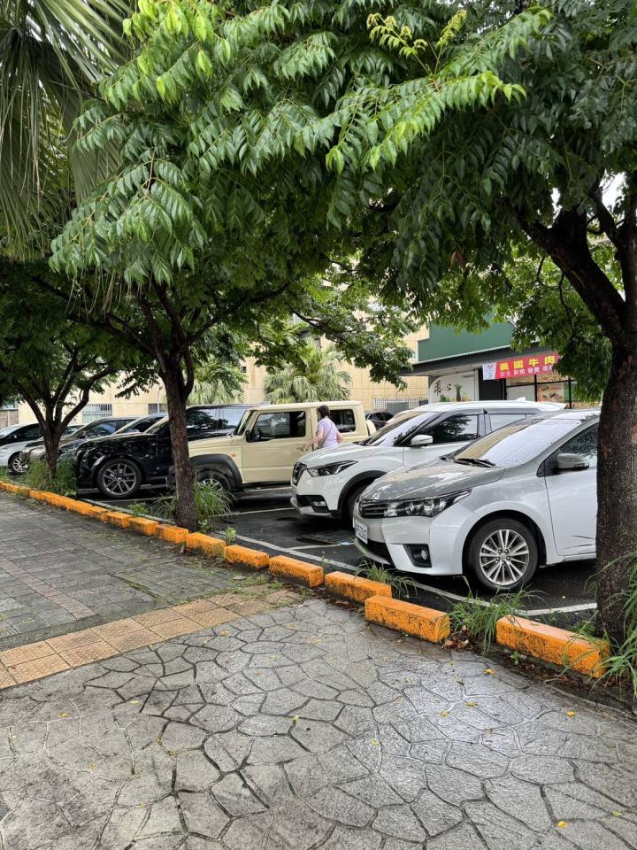 園藝維護案件圖片