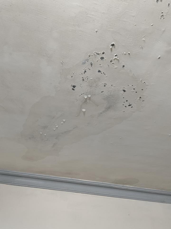 抓漏案件圖片