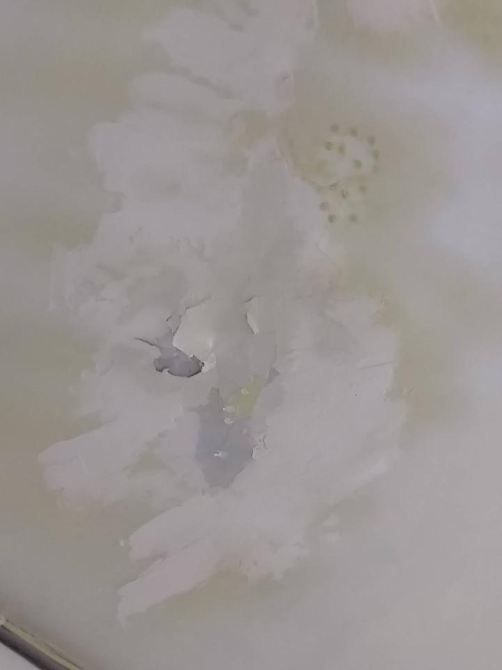 漏水處理案件圖片