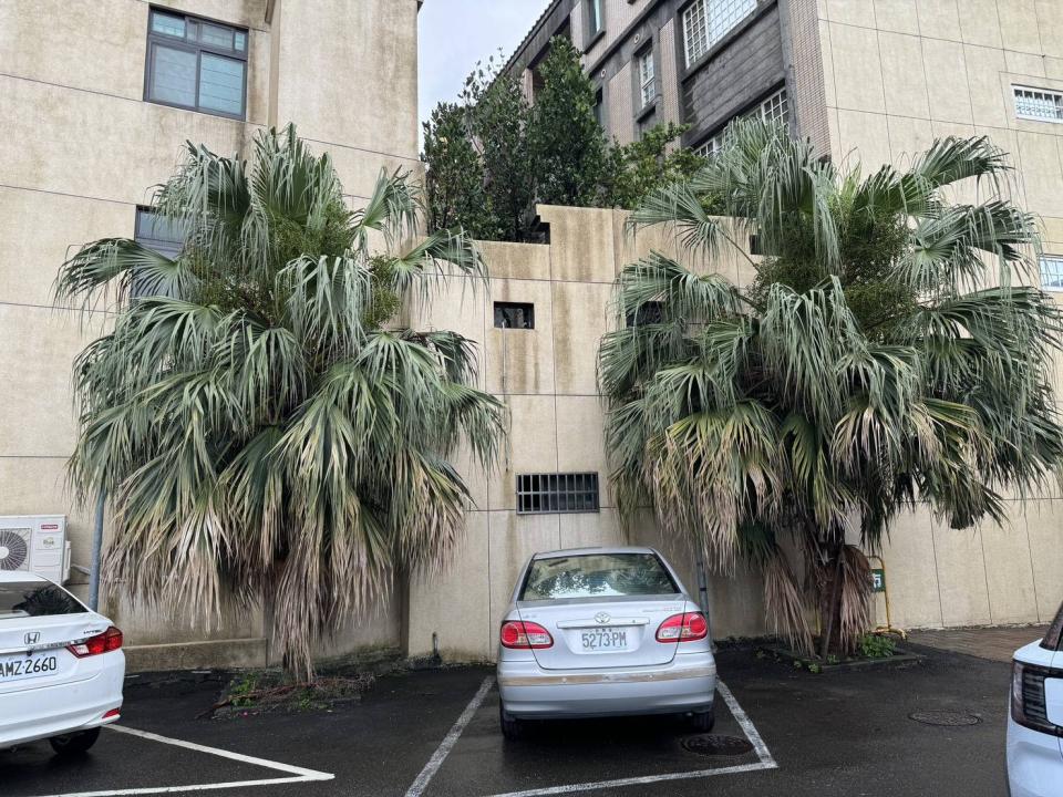 園藝維護案件圖片