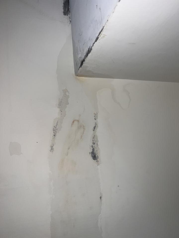 抓漏案件圖片