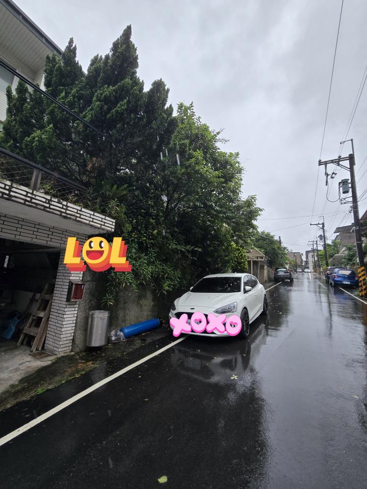 園藝維護案件圖片