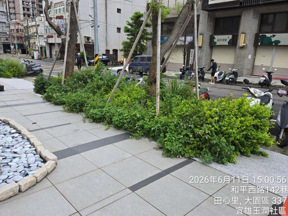 園藝維護案件圖片