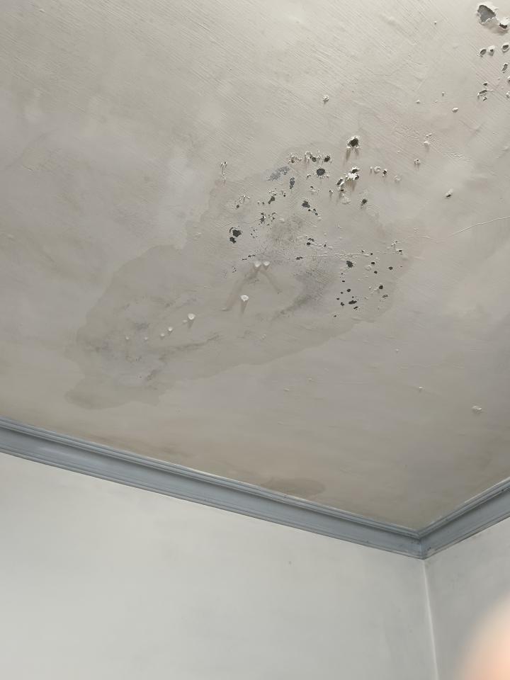 漏水處理案件圖片