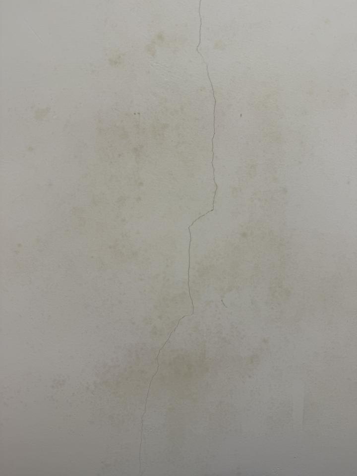 除霉案件圖片