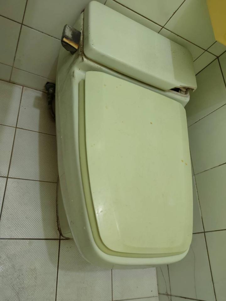 馬桶裝修案件圖片