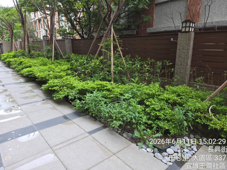 園藝維護案件圖片